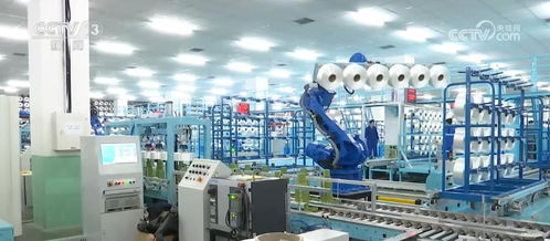 打造輕工新品 名品 精品方陣 培育老年用品 預制化食品等新增長點