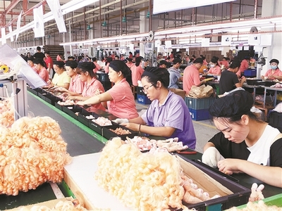 廣西北流市以招商引資工作為抓手推動縣域經(jīng)濟高質量發(fā)展