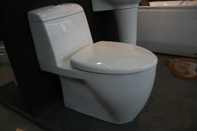 陶瓷衛生潔具八見解 多功能、富于表現力與生命力